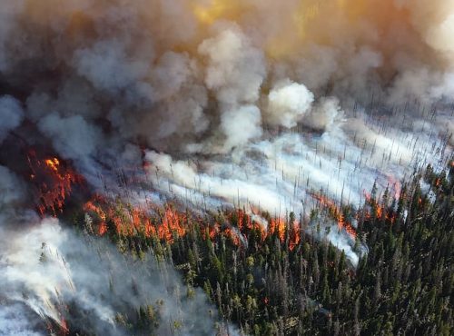 forest-fire-blaze-smoke